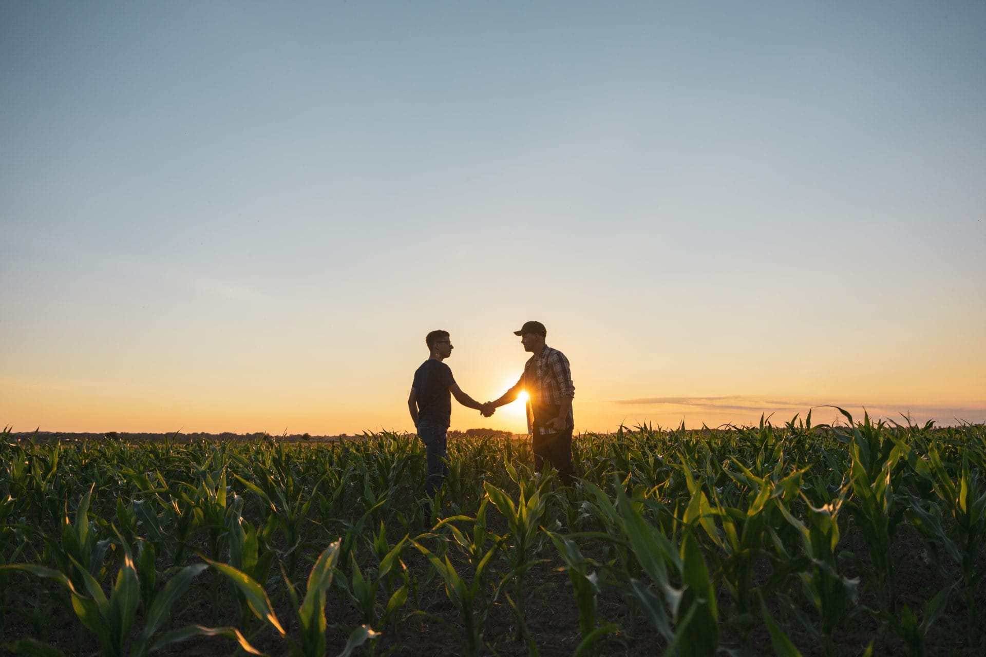 Silhouetted partners shaking hands in a field at sunset against a warm orange sky.